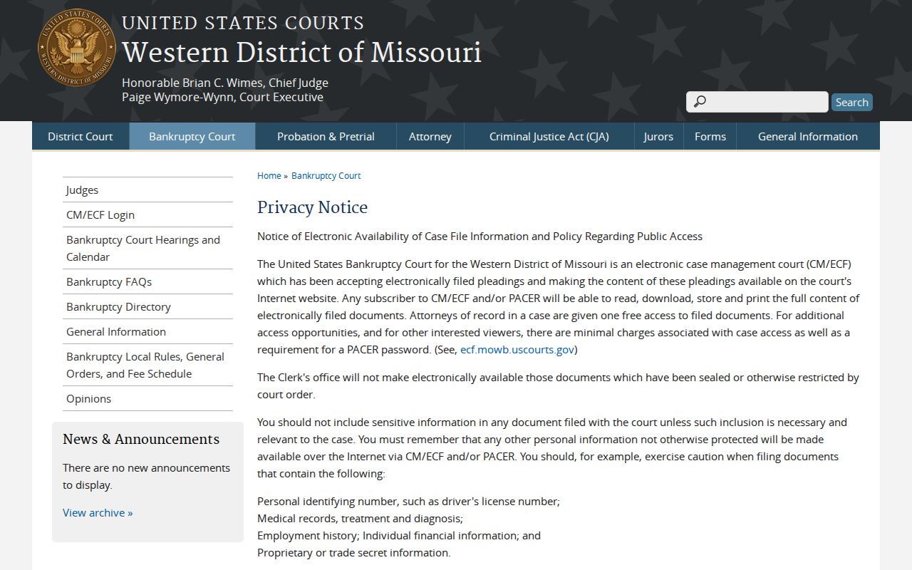 Ozark County court docket boundary between public and restricted federal records